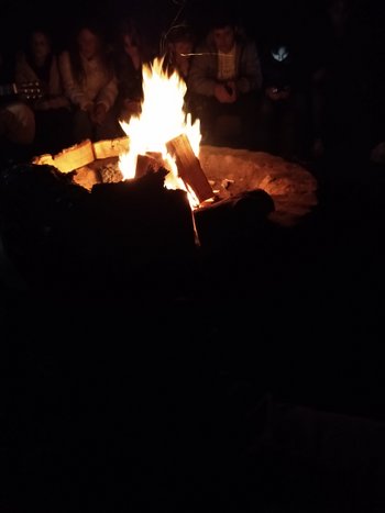 IMG_20230330_205510375.jpg