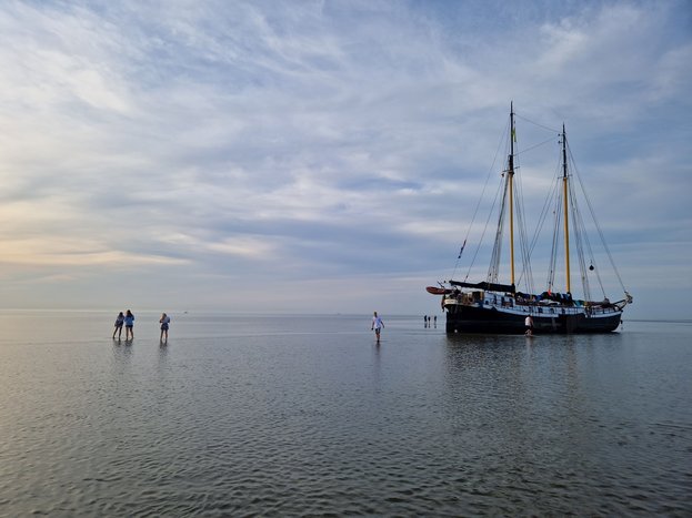 20230708_205128.jpg