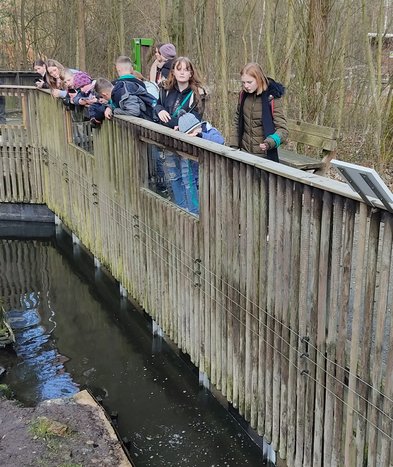 aOtterzentrum_5.jpg