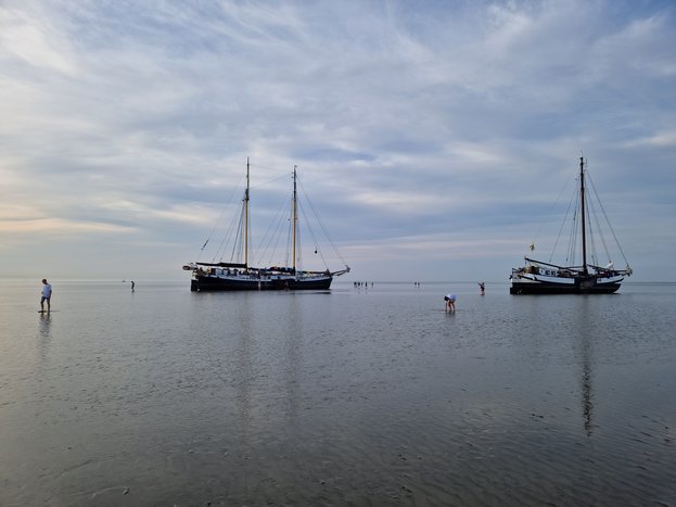 20230708_205241.jpg
